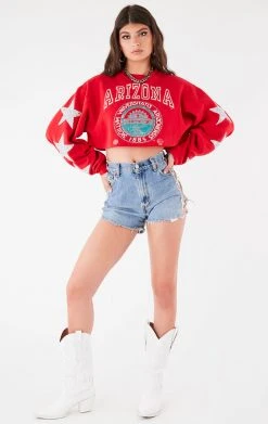 FURST OF A KIND VINTAGE STAR PATCH CROPPED SWEATSHIRT VINTAGE COLLEGE