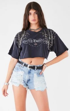 FURST OF A KIND FESTIVAL VINTAGE PIN AND CHAIN CROPPED TEE