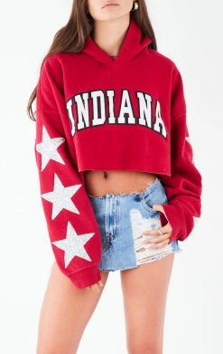 FURST OF A KIND VINTAGE STAR PATCH CROPPED HOODIE VINTAGE COLLEGE
